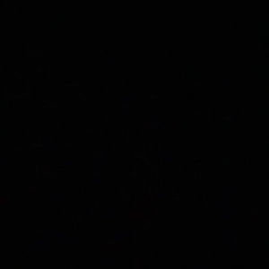 Meet your Posher, Hermena